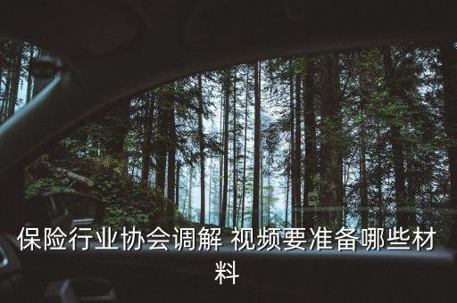 保險(xiǎn)行業(yè)協(xié)會調(diào)解 視頻要準(zhǔn)備哪些材料