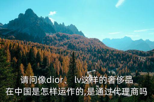 請問像dior、 lv這樣的奢侈品在中國是怎樣運作的,是通過代理商嗎