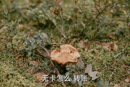 無卡怎么 轉(zhuǎn)賬