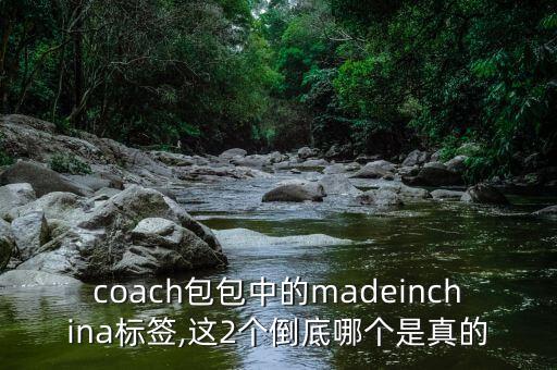 coach包包中的madeinchina標(biāo)簽,這2個倒底哪個是真的