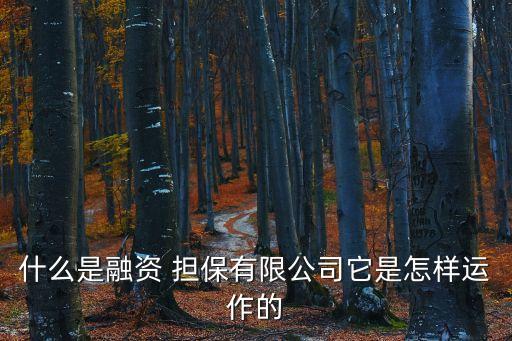 什么是融資 擔(dān)保有限公司它是怎樣運(yùn)作的