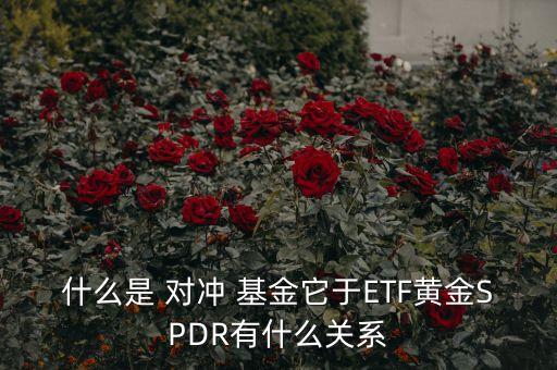 什么是 對沖 基金它于ETF黃金SPDR有什么關系