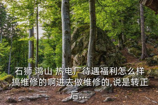  石獅 鴻山 熱電廠待遇福利怎么樣,搞維修的啊進去做維修的,說是轉(zhuǎn)正后...