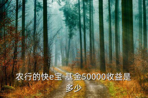 農(nóng)行的快e寶 基金50000收益是多少