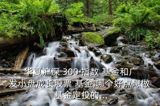  華夏滬深 300 指數(shù) 基金和廣發(fā)小盤成長股票 基金,哪個好點想做 基金定投的...