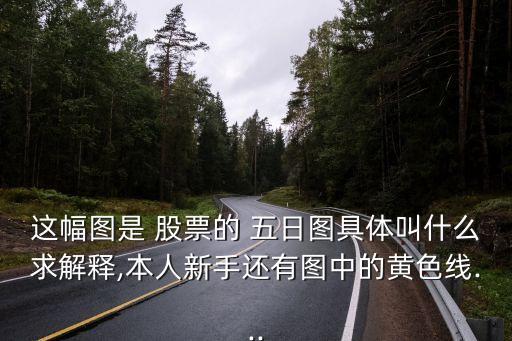 這幅圖是 股票的 五日?qǐng)D具體叫什么求解釋,本人新手還有圖中的黃色線...