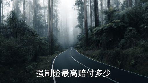 保險(xiǎn)公司最高賠償金額,事故人對(duì)保險(xiǎn)公司賠償?shù)慕痤~不滿(mǎn)意