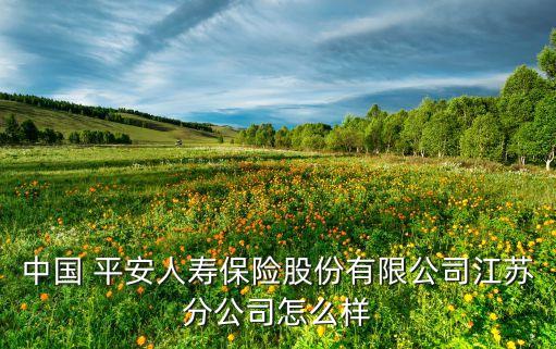 中國 平安人壽保險(xiǎn)股份有限公司江蘇分公司怎么樣