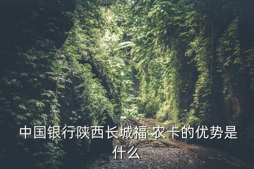  中國(guó)銀行陜西長(zhǎng)城福 農(nóng)卡的優(yōu)勢(shì)是什么