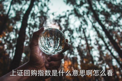 上海上證數(shù)據(jù)服務有限責任公司