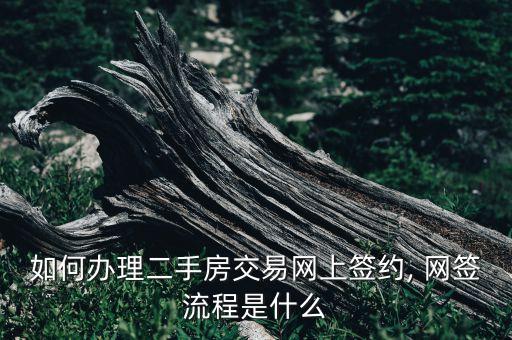 如何辦理二手房交易網(wǎng)上簽約, 網(wǎng)簽流程是什么