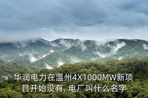 華潤(rùn)電力在溫州4X1000MW新項(xiàng)目開始沒(méi)有, 電廠叫什么名字