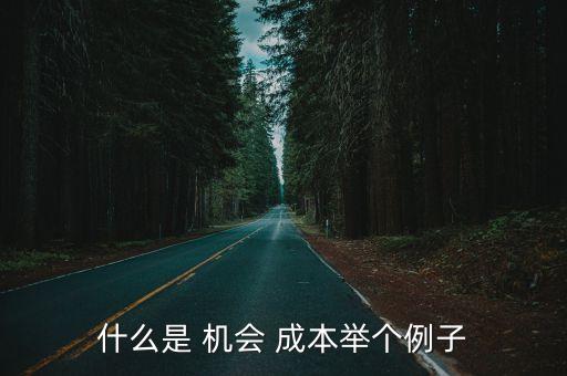 什么是 機會 成本舉個例子