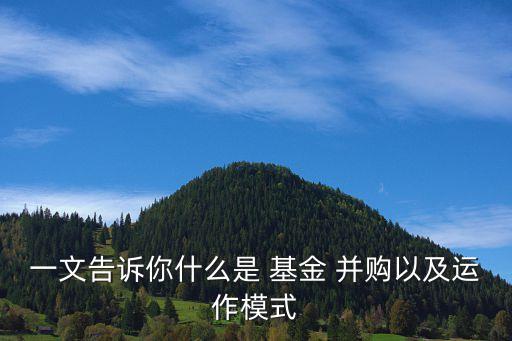 pe基金并購案例,pe 上市公司并購基金的優(yōu)點(diǎn)