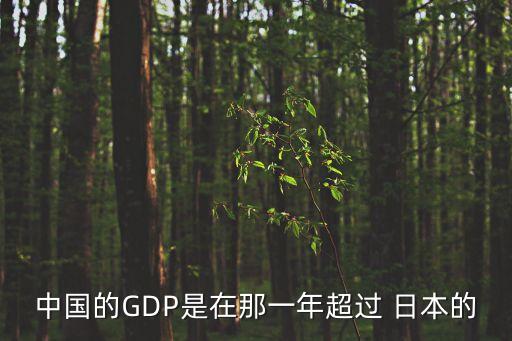 中國(guó)的GDP是在那一年超過(guò) 日本的