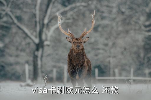 visa卡刷歐元怎么 還款