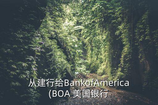 從建行給BankofAmerica(BOA 美國銀行