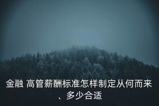 金融 高管薪酬標(biāo)準(zhǔn)怎樣制定從何而來、多少合適