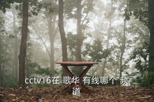 cctv16在 歌華 有線哪個 頻道