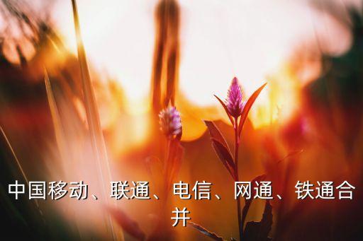 中國移動、聯(lián)通、電信、網(wǎng)通、鐵通合并