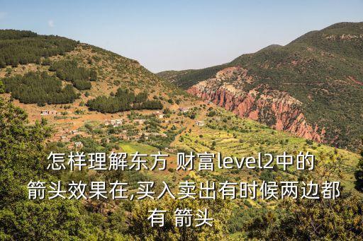 怎樣理解東方 財(cái)富level2中的 箭頭效果在,買(mǎi)入賣(mài)出有時(shí)候兩邊都有 箭頭