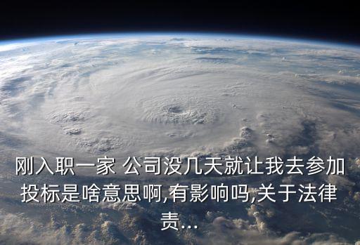 剛入職一家 公司沒幾天就讓我去參加投標是啥意思啊,有影響嗎,關于法律責...