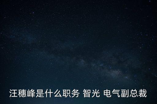 汪穗峰是什么職務(wù) 智光 電氣副總裁