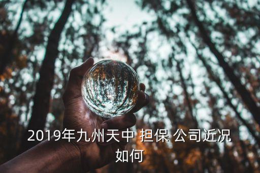 2019年九州天中 擔保 公司近況如何