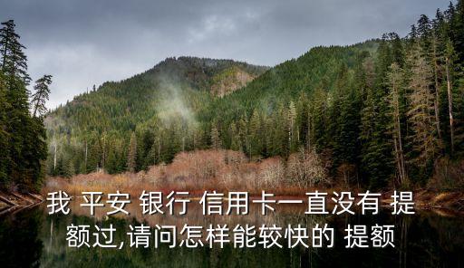 我 平安 銀行 信用卡一直沒有 提額過,請(qǐng)問怎樣能較快的 提額