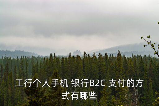 工行個人手機(jī) 銀行B2C 支付的方式有哪些