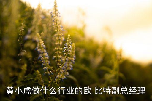 黃小虎做什么行業(yè)的歐 比特副總經(jīng)理