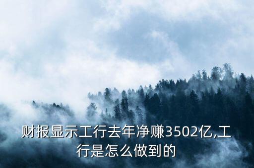 財報顯示工行去年凈賺3502億,工行是怎么做到的