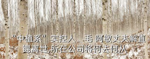 “中植系”實控人、毛 阿敏丈夫解直錕離世,所在公司將何去何從