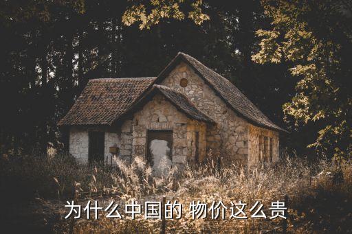 為什么中國的 物價這么貴