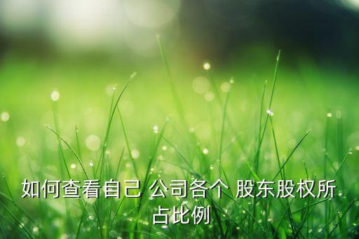 一般小公司怎么查詢股東,怎么查詢名下有沒(méi)有公司