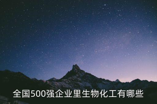 全國500強(qiáng)企業(yè)里生物化工有哪些