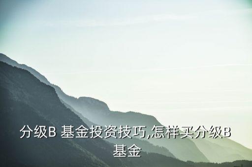 分級B 基金投資技巧,怎樣買分級B 基金