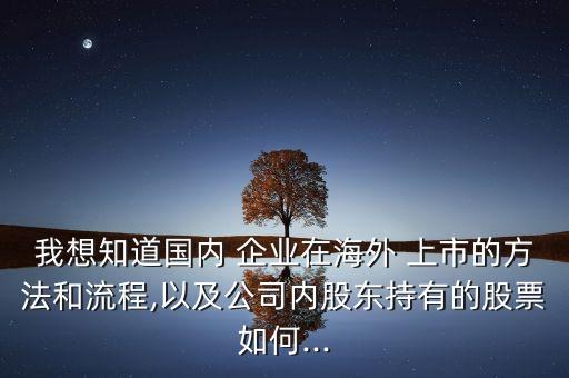 我想知道國內(nèi) 企業(yè)在海外 上市的方法和流程,以及公司內(nèi)股東持有的股票如何...