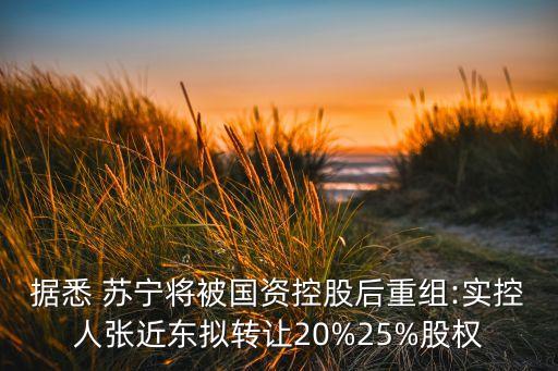 據(jù)悉 蘇寧將被國資控股后重組:實控人張近東擬轉讓20%25%股權