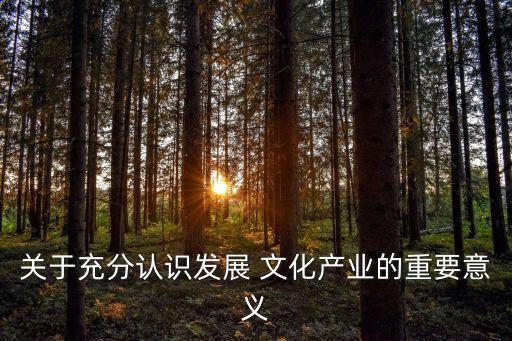 關(guān)于充分認識發(fā)展 文化產(chǎn)業(yè)的重要意義