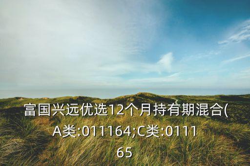  富國興遠優(yōu)選12個月持有期混合(A類:011164;C類:011165