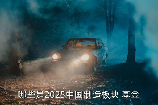 哪些是2025中國制造板塊 基金