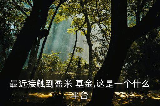 最近接觸到盈米 基金,這是一個什么平臺