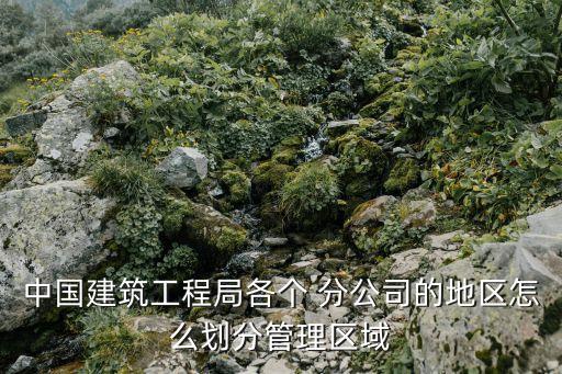 中國建筑工程局各個(gè) 分公司的地區(qū)怎么劃分管理區(qū)域