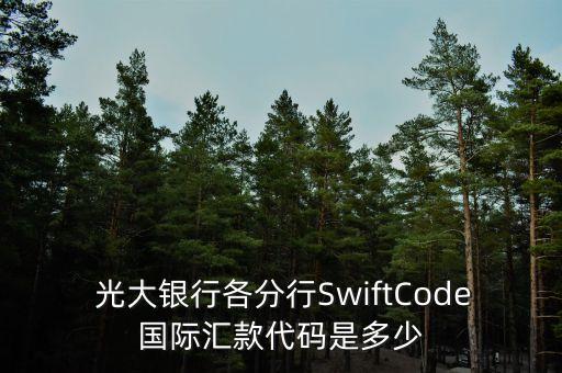 中國光大銀行西安東大街支行行號(hào),光大銀行西安經(jīng)濟(jì)技術(shù)開發(fā)區(qū)支行