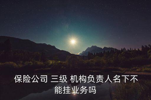 保險公司三級機構(gòu)管理