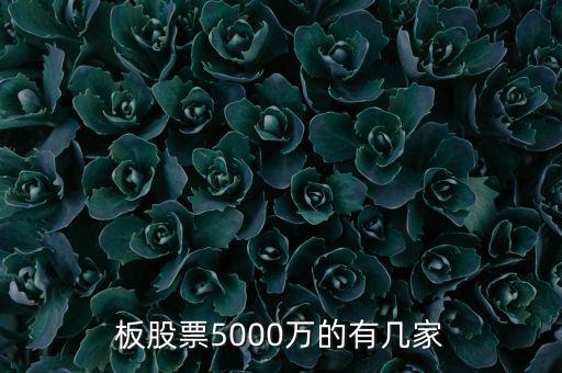 新三板股票5000萬的有幾家