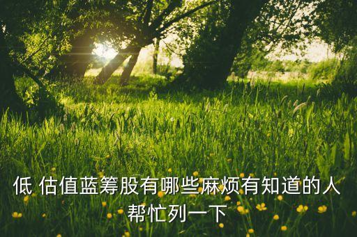 低 估值藍(lán)籌股有哪些麻煩有知道的人幫忙列一下