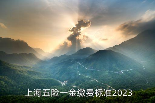  上海五險一金繳費標(biāo)準(zhǔn)2023