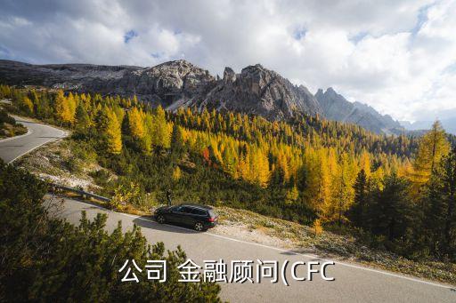 cfc中國金融臺,成都cfc金融廣場戶型圖